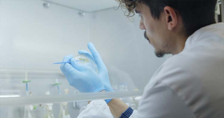 Centro de Engenharia Biológica da UMinho desenvolve métodos para combater ineficácia de antibióticos