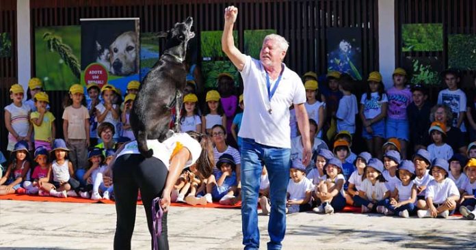 dia-do-animal