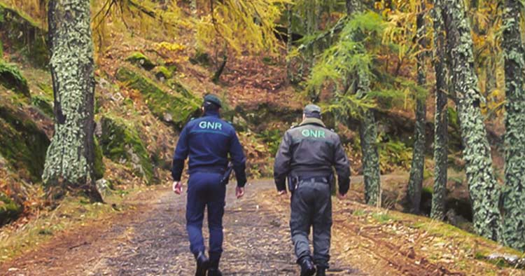 GNR registou 93 crimes na operação “Floresta Segura”