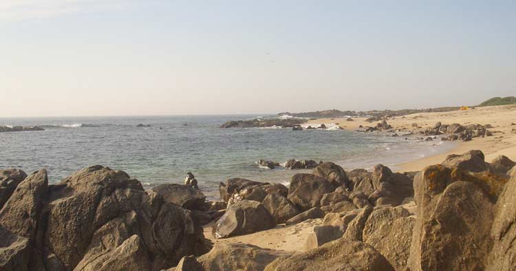 Mulher encontrada hoje morta na praia da Póvoa de Varzim