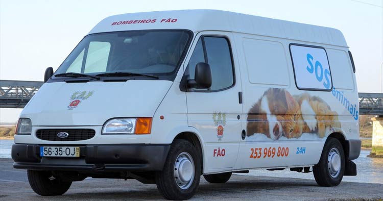 Esposende reforça apoio financeiro para recolha e transporte de animais errantes