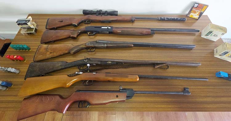 Vieira do Minho: Suspeito de violência doméstica tinha armas ilegais em casa