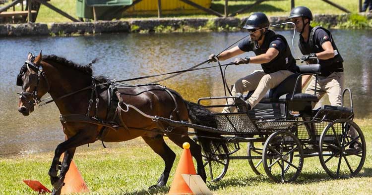 Vieira do Minho recebe Campeonato Regional Norte de Atrelagem