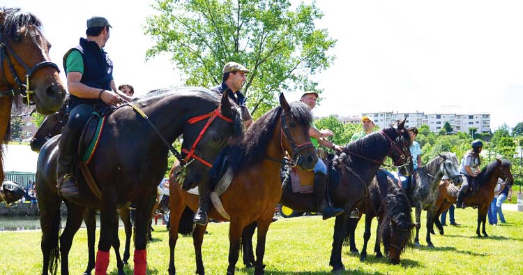 Vieira do Minho promove Passeio Equestre