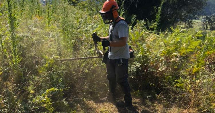 Prolongado prazo para limpeza de terrenos até 15 de junho