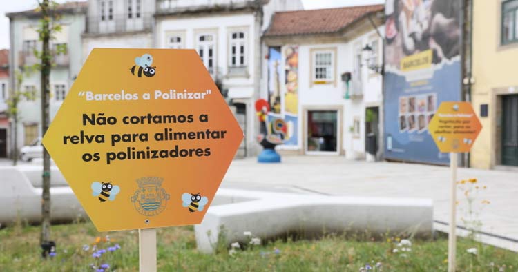 Barcelos deixa crescer ervas para proteger as abelhas