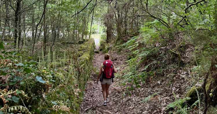 Caminho que liga Braga a Santiago próximo de atingir os sete mil peregrinos