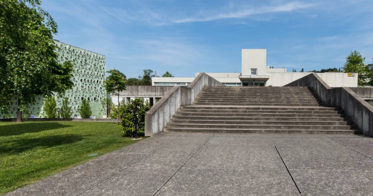 Guimarães: UMinho acolhe formações gratuitas sobre biodiversidade urbana
