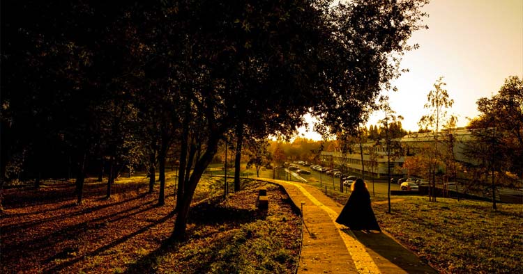 UMinho está entre as 300 melhores do mundo na sustentabilidade