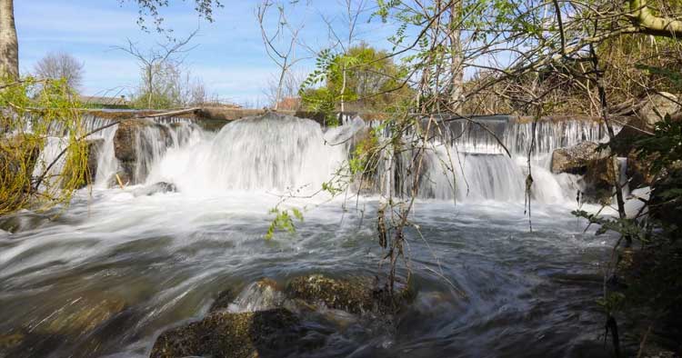 PAN Famalicão promove conversa "Cuidar do ambiente, fortalecer a comunidade"