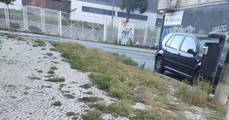 Ervas “inundam” passeios em Braga