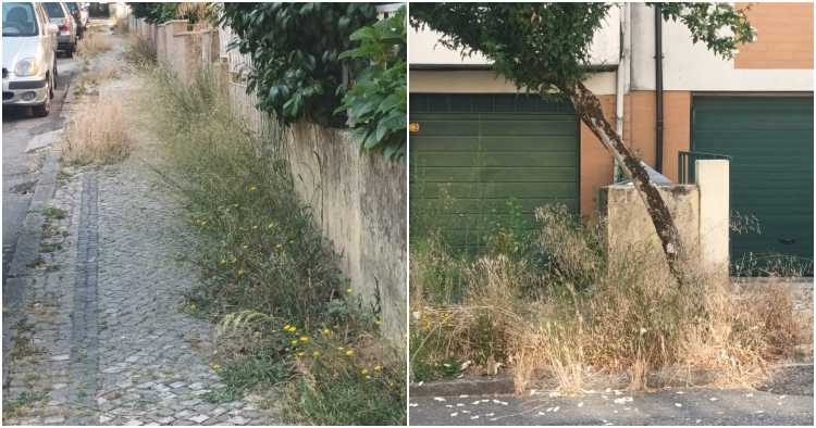 Cidadã critica estado em que se encontram os passeios em Braga