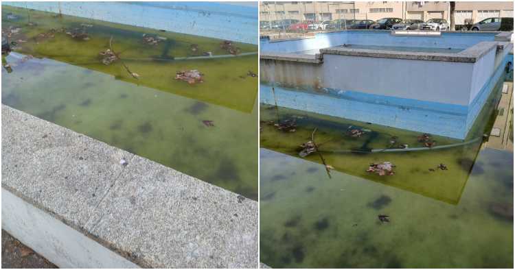 Chafariz em Braga sem manutenção provoca mau cheiro e atrai insetos