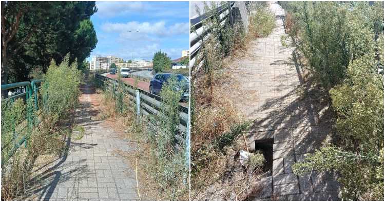 Cidadão lamenta estado dos passeios em Braga