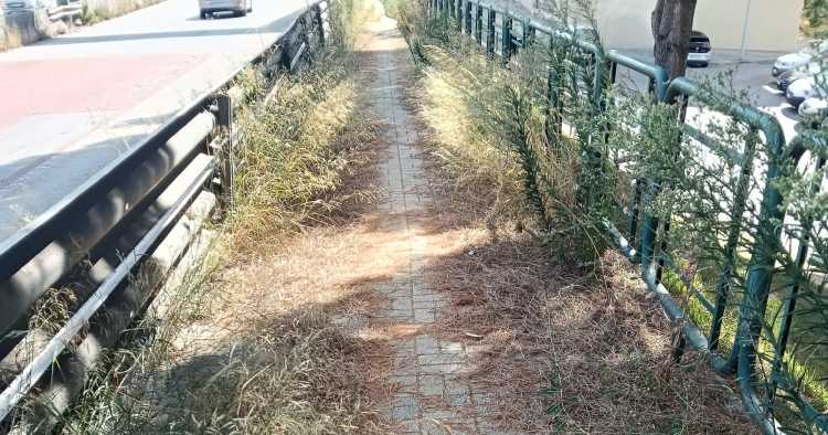 Cidadão lamenta estado dos passeios em Braga