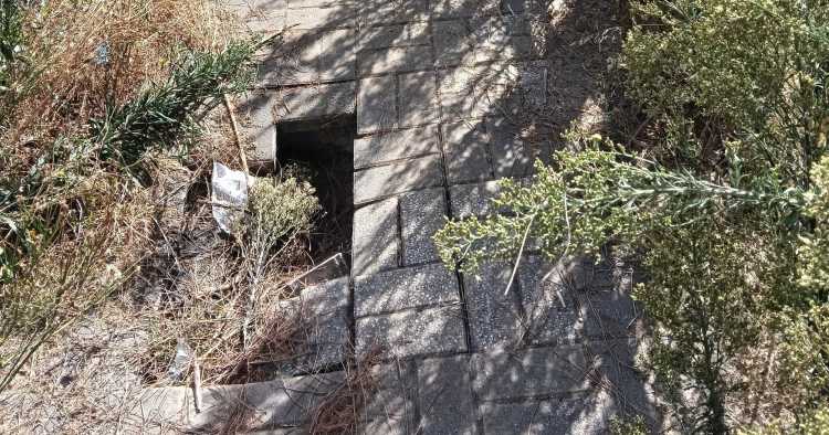 Cidadão lamenta estado dos passeios em Braga