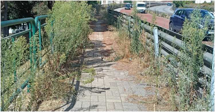 Cidadão lamenta estado dos passeios em Braga