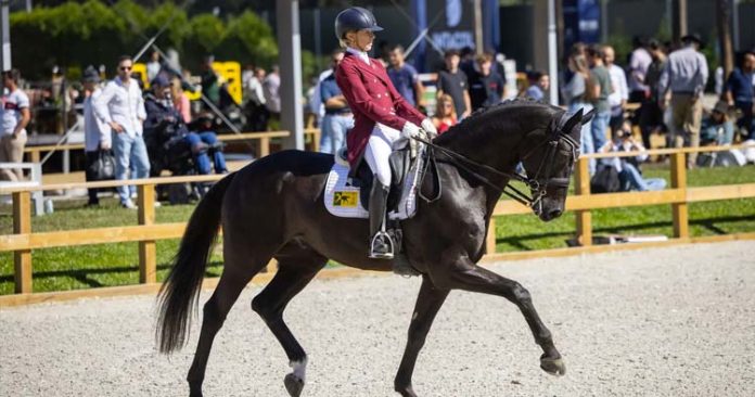 equestre