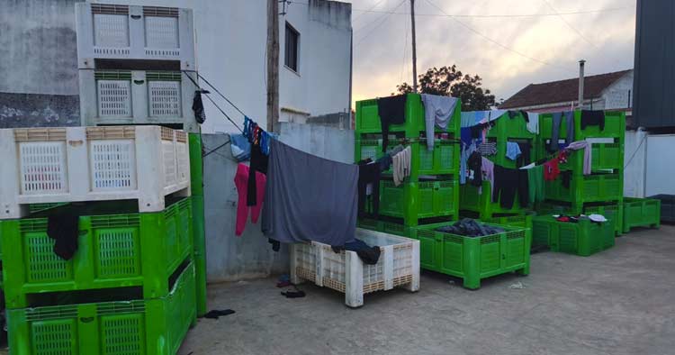 GNR encontra 69 imigrantes a viver em condições "indignas"