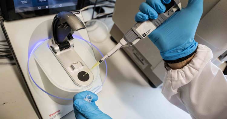 UMinho tem 69 cientistas entre os mais citados do mundo