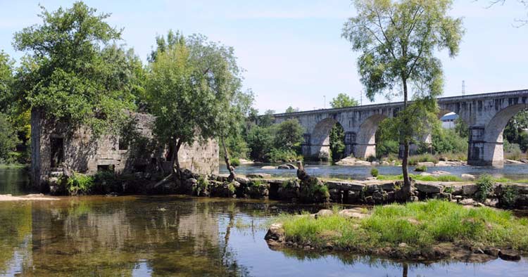 Braga: Caminhada solidária em Palmeira no dia 5 de outubro