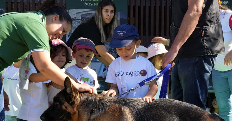 Quinta Pedagógica de Braga mostra cuidados a ter com os animais domésticos