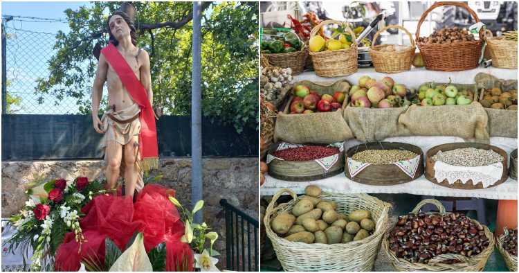 Braga: Festa das Colheitas realiza-se em Parada de Tibães no domingo