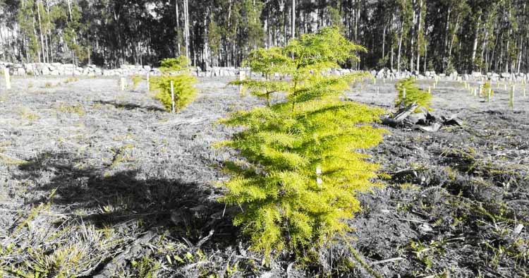 Esposende promove atividades educativas e de sensibilização ambiental