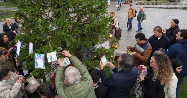 Braga volta a ter Árvore dos Sonhos para presentear crianças e jovens institucionalizados