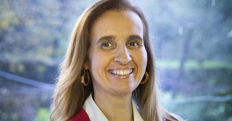 Sobre o Plano Diretor Municipal de Braga e a Assembleia Municipal que o aprovou