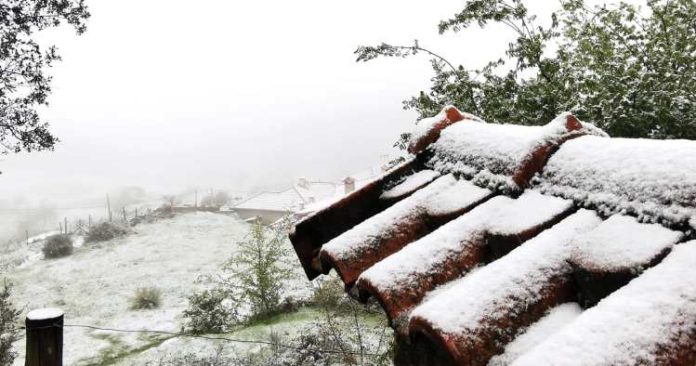 neve-2-1