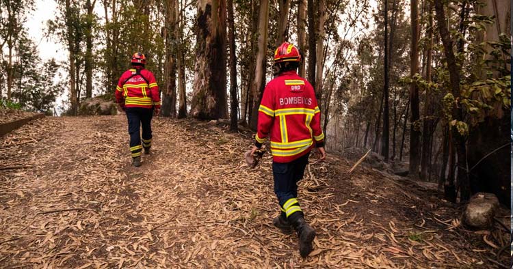Famalicão assegura 777 mil euros às forças de socorro