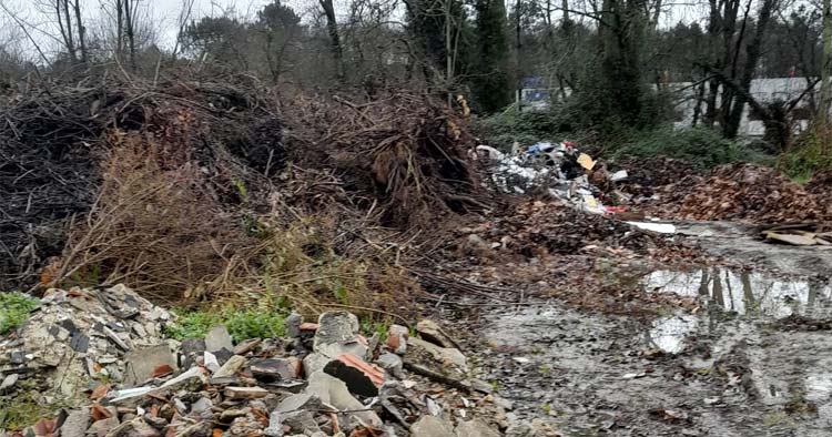 Removidas mais de 900 toneladas de resíduos do espaço público em Braga