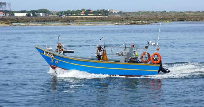 pesca