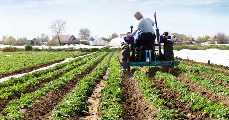 Braga recebe palestra “Mercado de Trabalho no Mundo Rural”