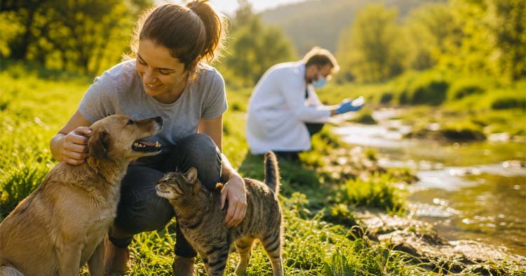 UMinho convida a refletir sobre a interdependência entre a saúde humana, animal e ambiental