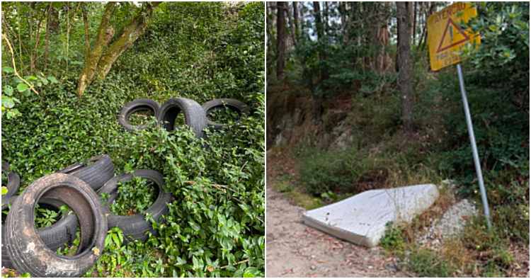 Famalicão: Fotógrafo denuncia deposição de lixo em zona verde de Nine