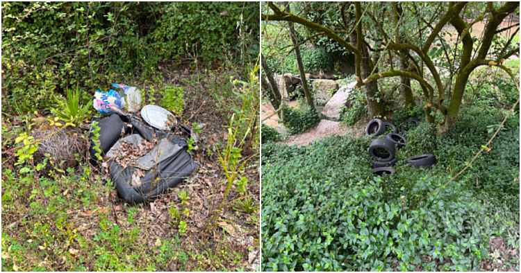 Famalicão: Fotógrafo denuncia deposição de lixo em zona verde de Nine