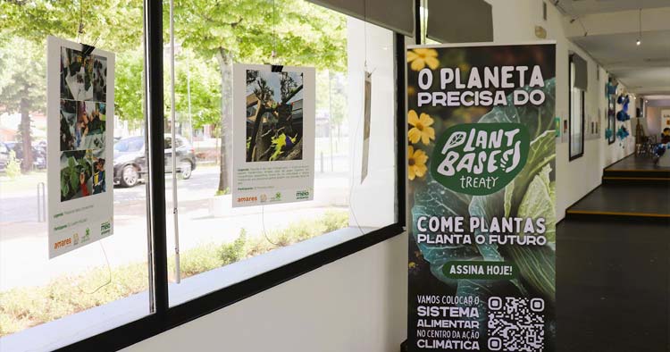 Semana do Meio Ambiente arrancou em Amares com exposição sobre resíduos e sustentabilidade