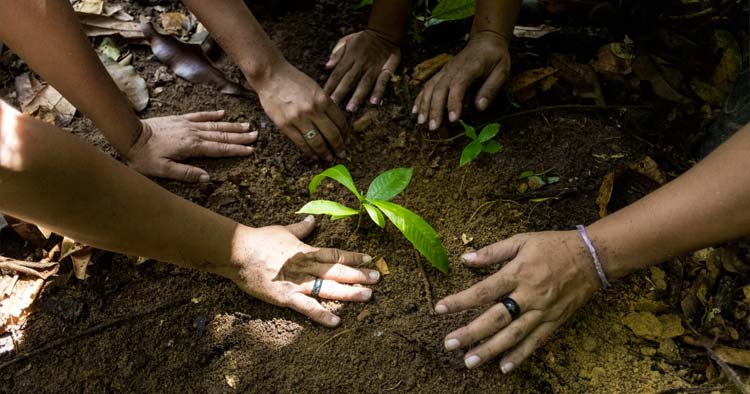 Guimarães recebe Encontro pela Justiça Climática no Norte