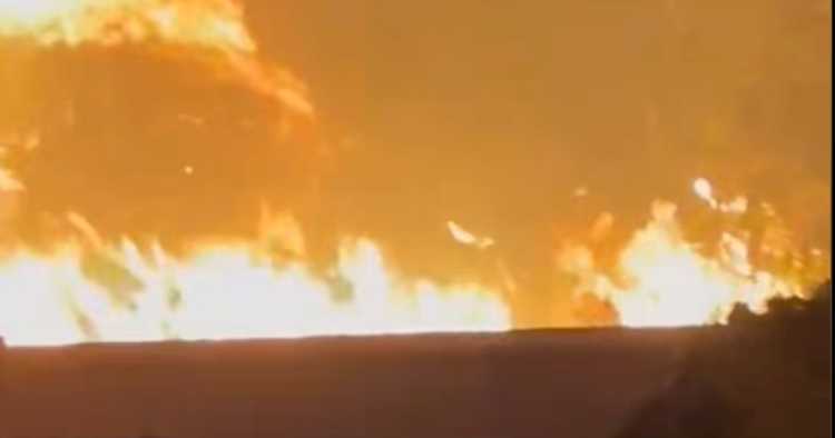 Incêndio levou noite infernal às portas de Águeda