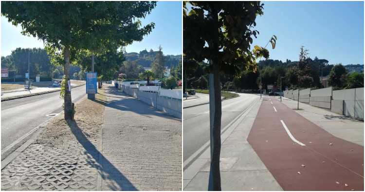 SOS Árvores de Braga prepara evocação do abate de árvores na Avenida dos Lusíadas