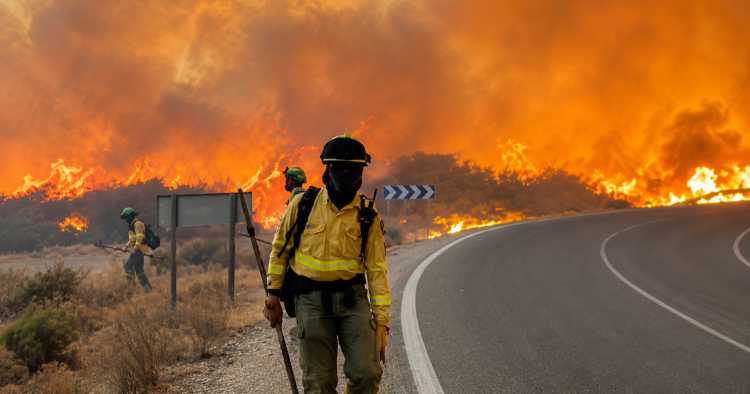 12 mortos em incêndio florestal na Andaluzia após tentativa de fuga às chamas