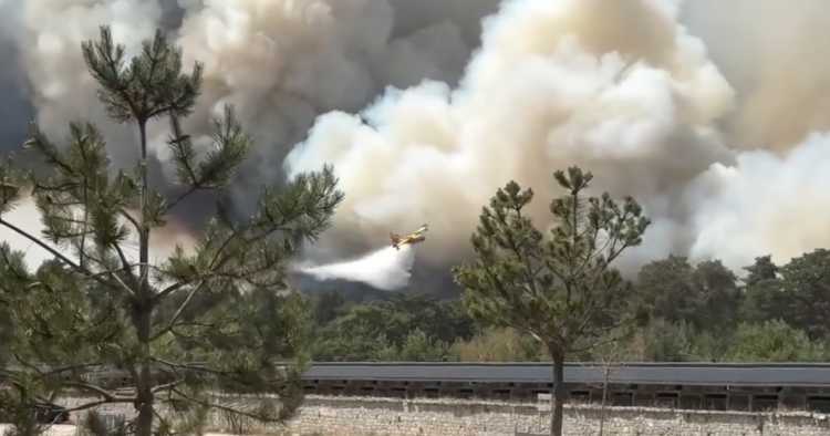 França: Incêndio obriga à evacuação de mil pessoas em Fontainebleau