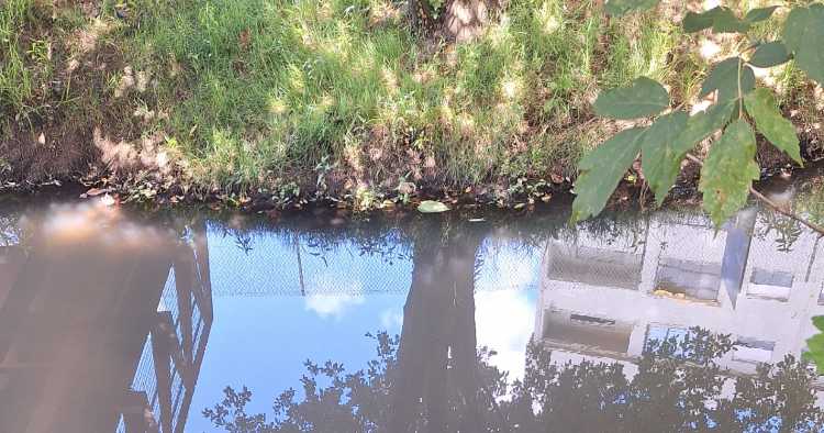 Rio Este alvo de alegada descarga poluente em Braga