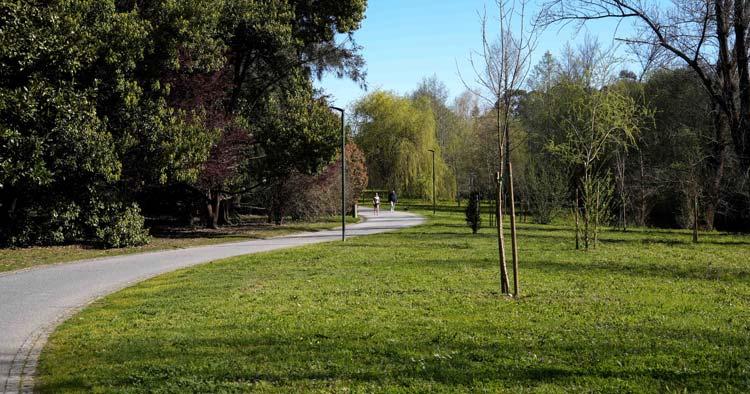 Famalicão: Parque da Devesa recebe três dias dedicados ao bem-estar e à natureza