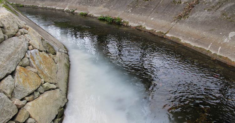 Bloco de Esquerda questiona Governo sobre episódios de poluição no rio Este em Braga