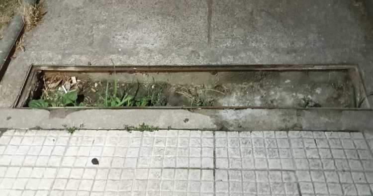 Furto de grelha deixa armadilha para peões em jardim de Braga