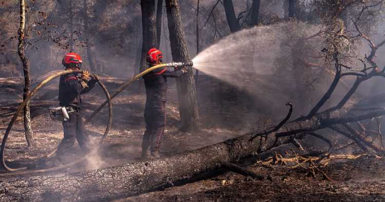 Emmanuel Macron agradece apoio de Portugal no combate aos incêndios em França