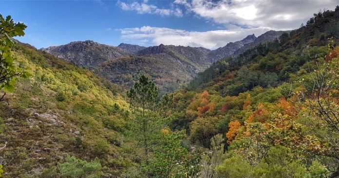 mata-de-albergaria